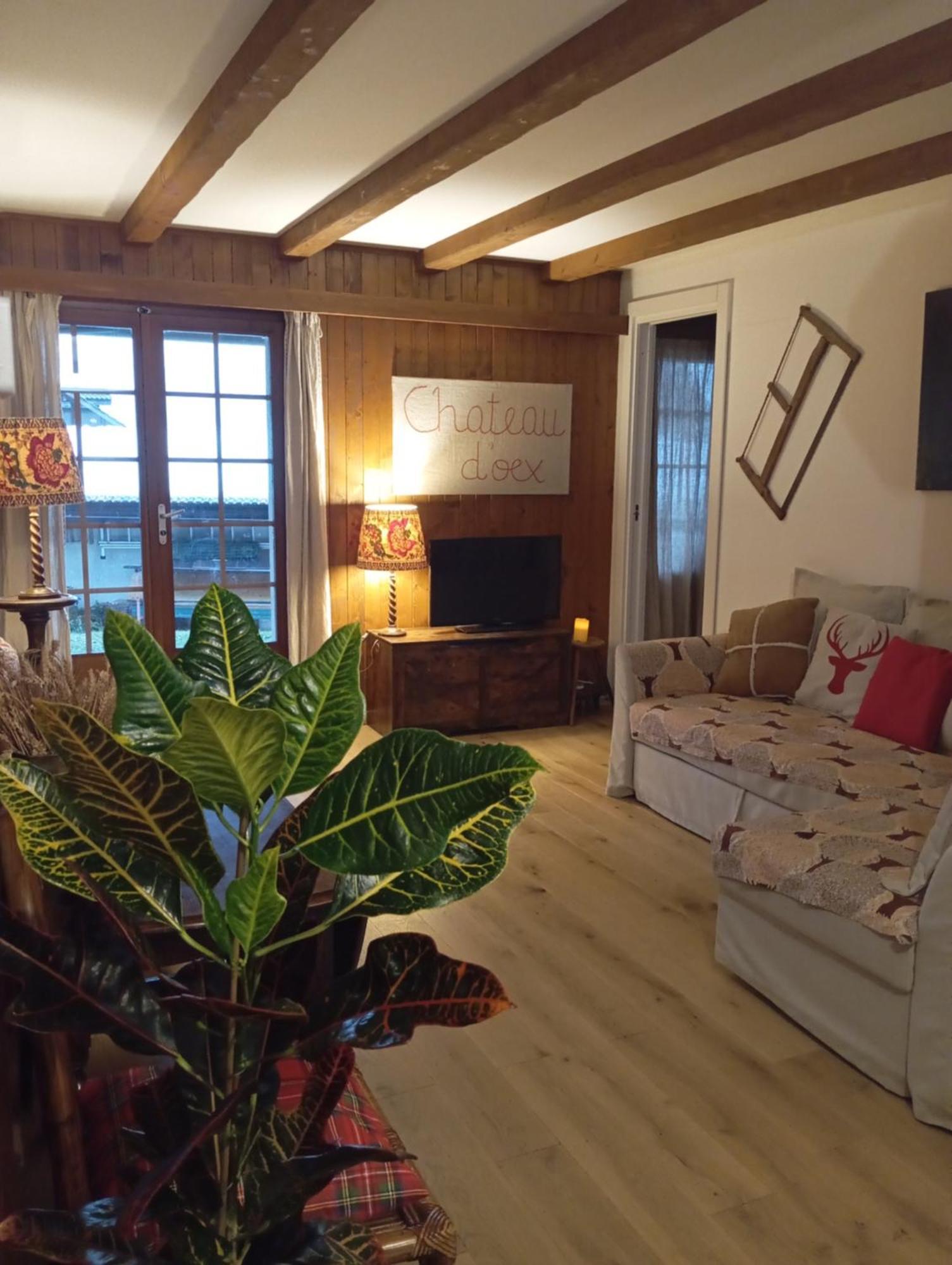 Cozy In The Heart Of The Alps अपार्टमेंट Chateau-d'Oex
