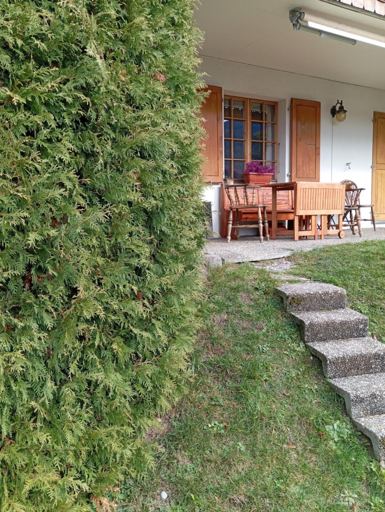 Cozy In The Heart Of The Alps * Chateau-d'Oex