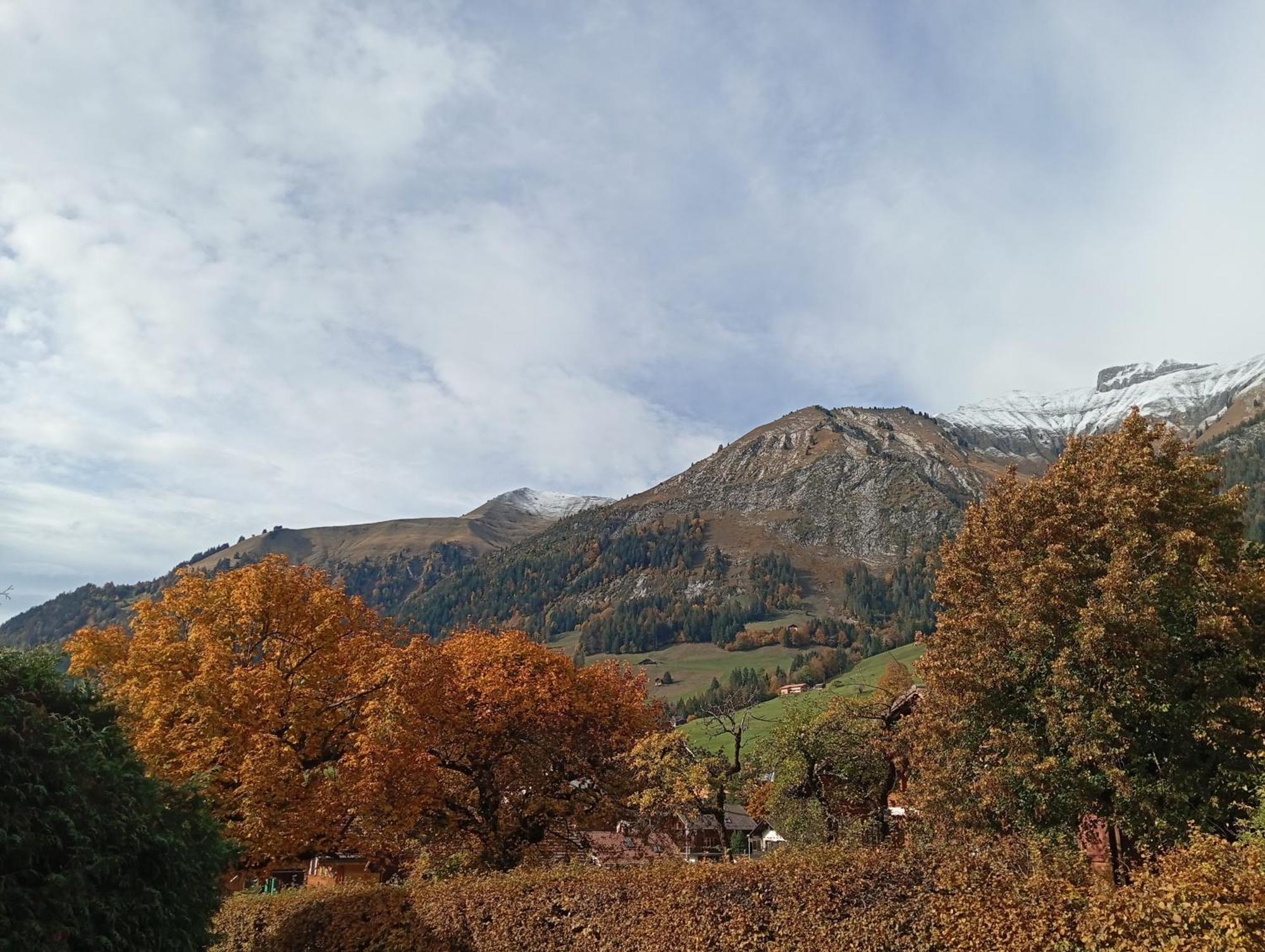 Cozy In The Heart Of The Alps अपार्टमेंट *